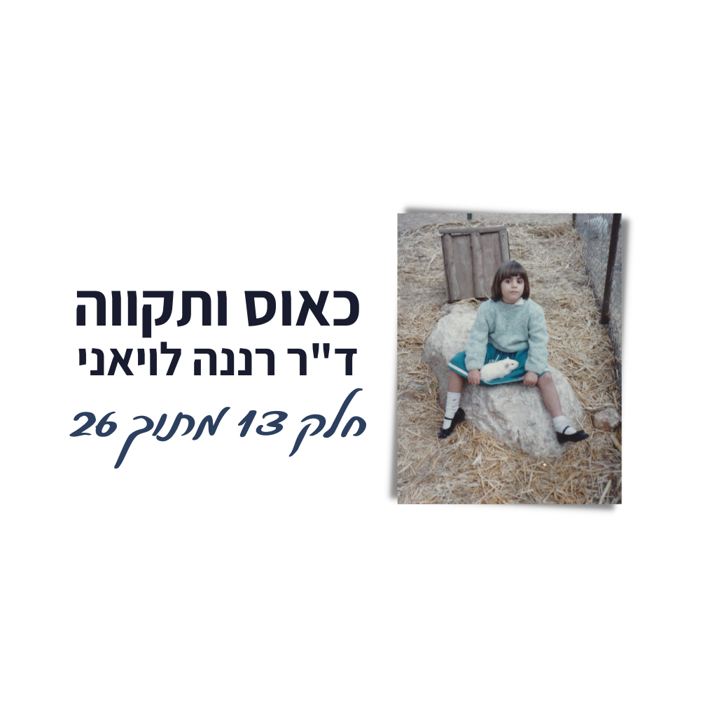 באנר כאוס ותקווה חלק 13 מתוך 26